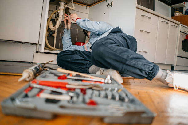 Best Drain Cleaning Services  in Ripley, WV